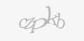 Қорғаныс коды
